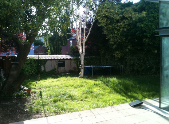 St Leonards, Exeter Garden Design by Plant A Seed - before 2