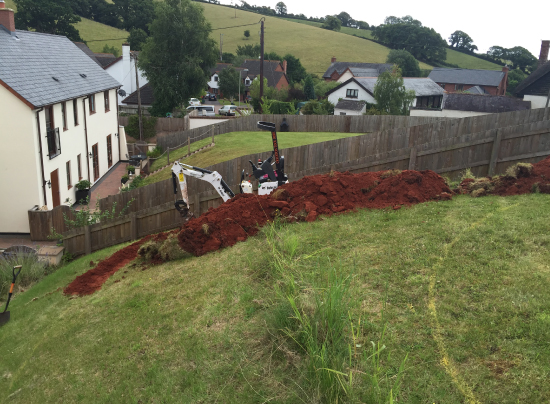 Plant-A-Seed-Garden-Design-Crediton-Devon-garden-design-1