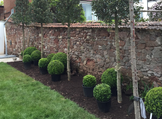 Plant-A-Seed-Garden-Design-St-Leonards-Exeter-Portfolio-update-1