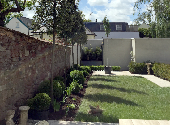 Plant-A-Seed-Garden-Design-St-Leonards-Exeter-Portfolio-update-2