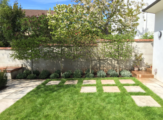 Plant-A-Seed-Garden-Design-St-Leonards-Exeter-Portfolio-update-6