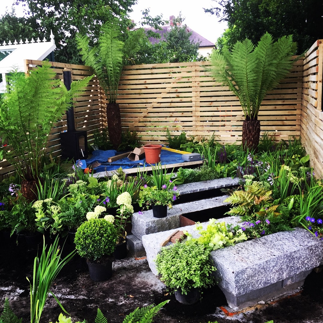Edward Grimes Garden Design - Moors Garden Design Plants - Taunton Flower Show-min