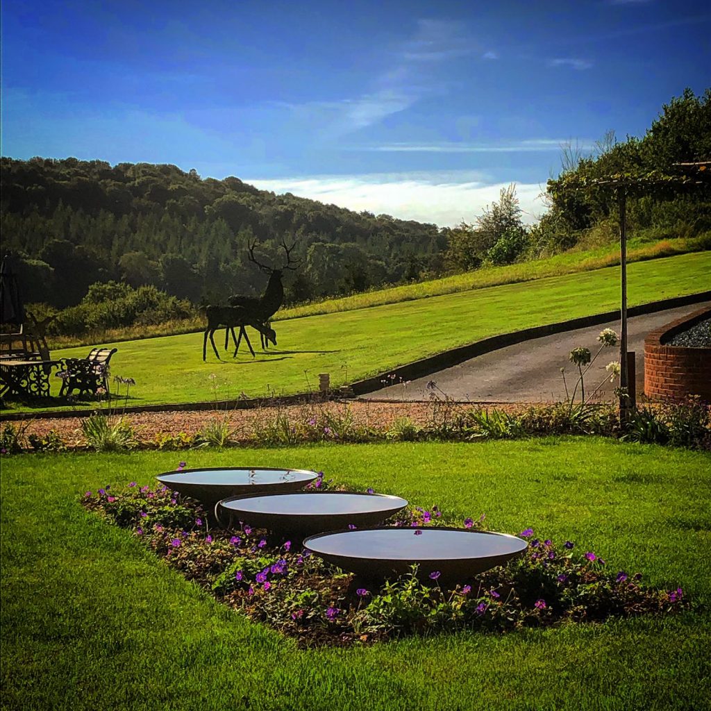 Edward Grimes Garden Designer - Garden in Silverton, Exeter in Devon - Stags in garden
