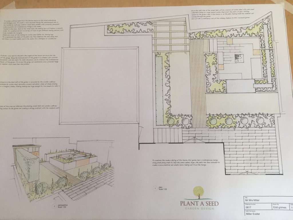 Edward Grimes Garden Designer plans for Broadclyst, Exeter in Devon - Garden design sketch-min
