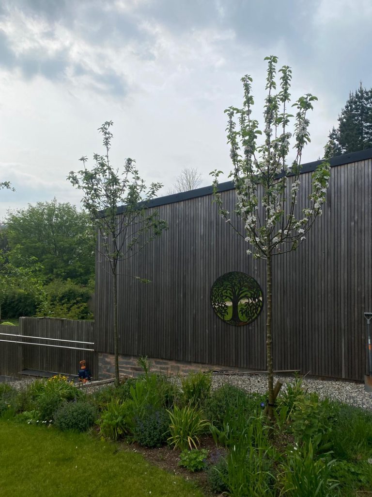 Huxtable Garden Design by Ed Grimes - Crediton, Devon 3