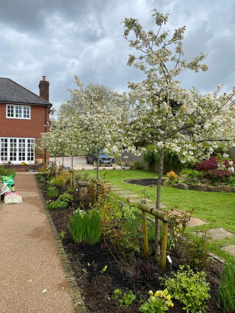 Morchard Bishop Garden Design by Ed Grimes, Exeter, Devon 11